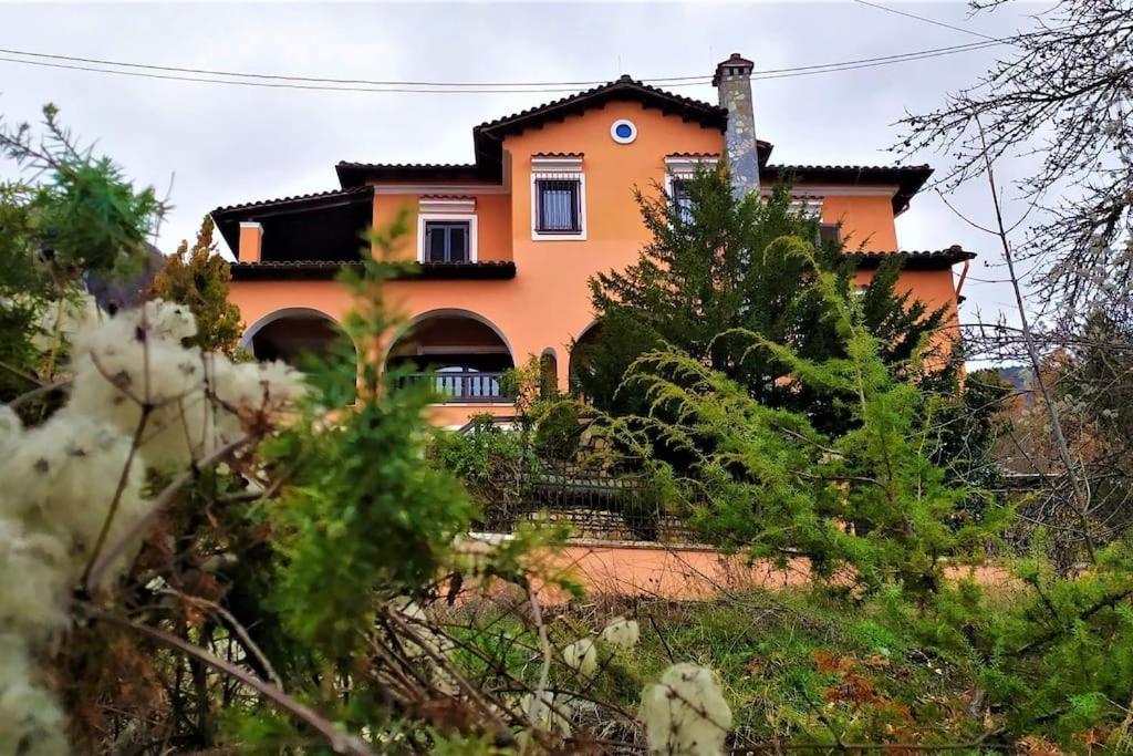 Villa Tethys Mountain Resort Zakas Exterior photo