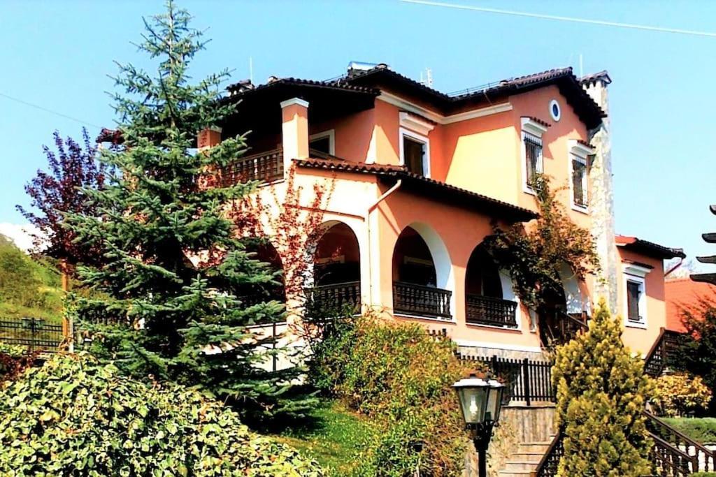 Villa Tethys Mountain Resort Zakas Exterior photo