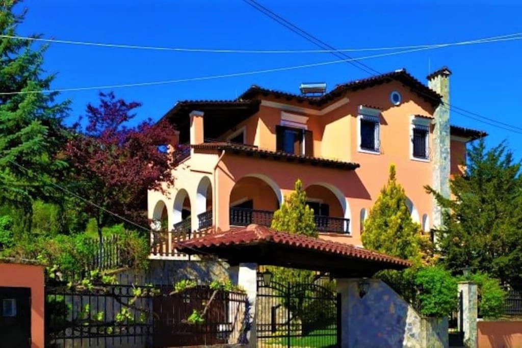 Villa Tethys Mountain Resort Zakas Exterior photo