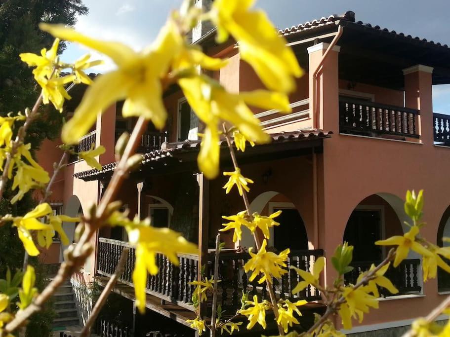 Villa Tethys Mountain Resort Zakas Exterior photo