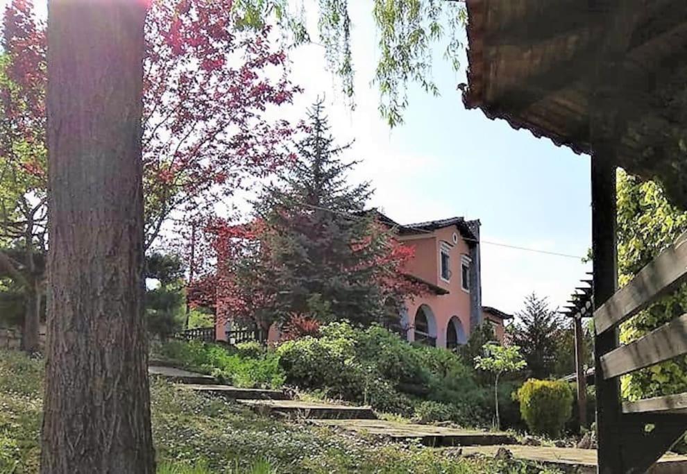 Villa Tethys Mountain Resort Zakas Exterior photo