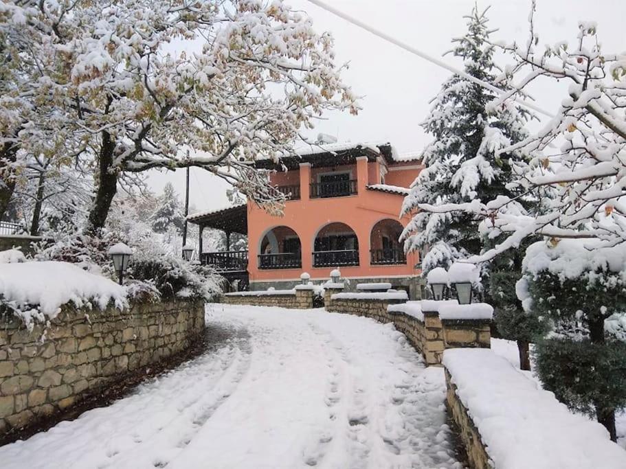 Villa Tethys Mountain Resort Zakas Exterior photo